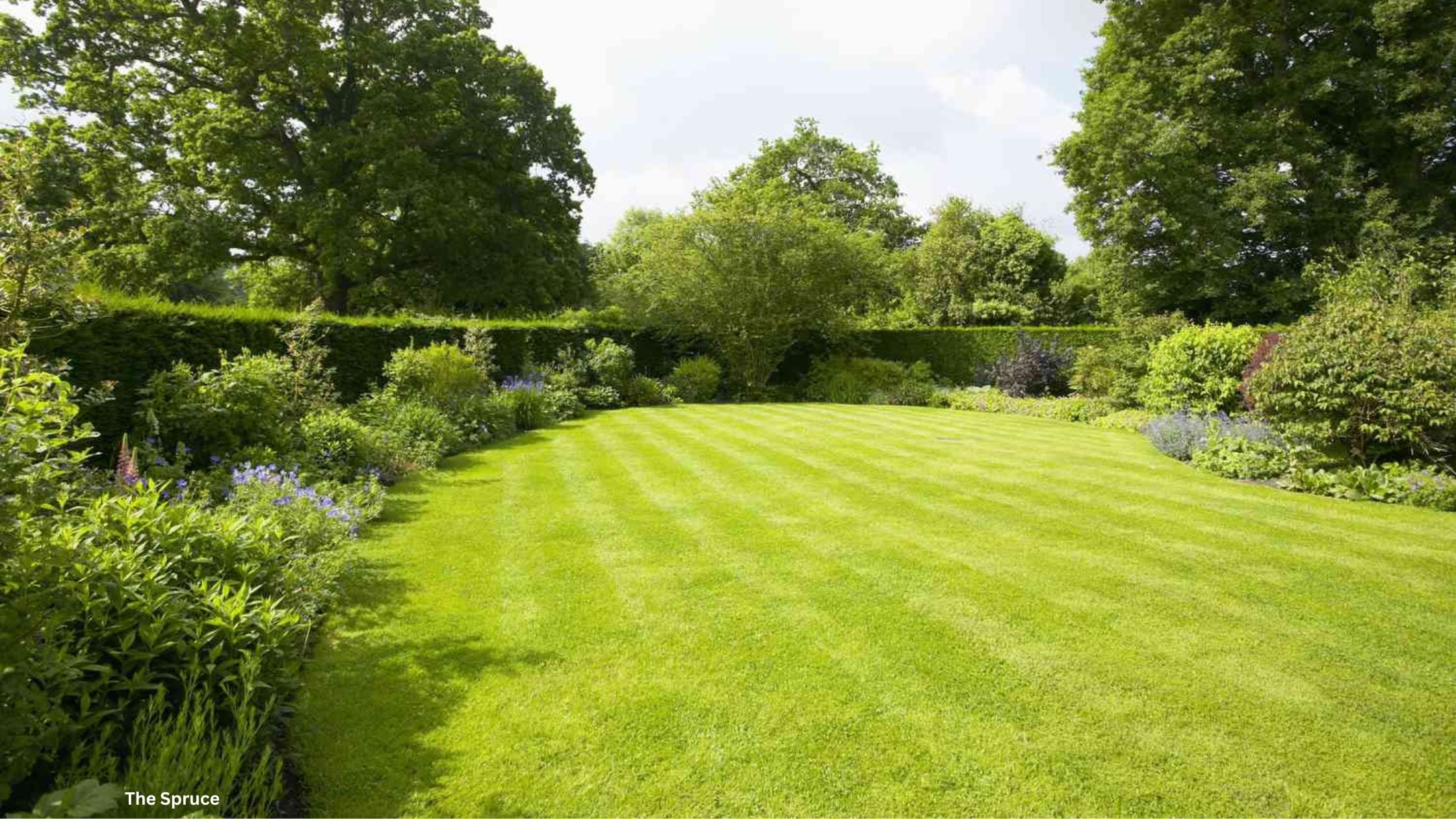 How To Top Dress a Lawn Floral Acres Greenhouse & Garden Centre How To Top Dress a Lawn Floral Acres Greenhouse & Garden Centre