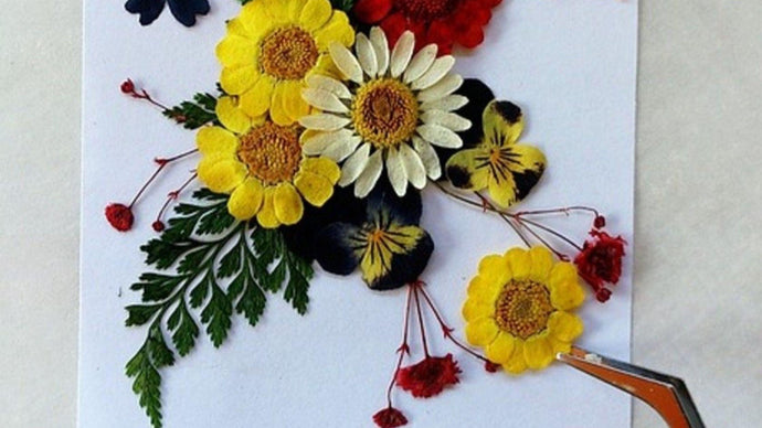 DIY Pressed Flowers – Save a Little Piece of Summer!
