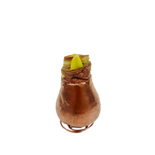 Load image into Gallery viewer, Amaryllis Bulb Kit, Waxed, Red