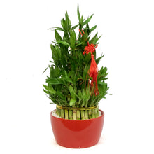 Load image into Gallery viewer, Bamboo Planter, Lucky Pagoda, 5-Tier