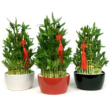 Load image into Gallery viewer, Bamboo Planter, Lucky Pagoda, 5-Tier