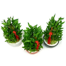 Load image into Gallery viewer, Bamboo Planter, Lucky Pagoda, 5-Tier
