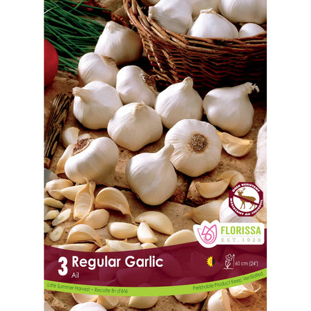 Garlic - White Bulbs, 3 Pack