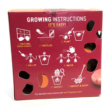 Load image into Gallery viewer, Seed Potato - Jazzy, Earth Apples, 1kg Box