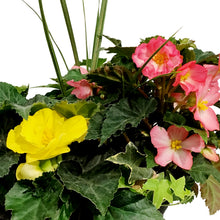Load image into Gallery viewer, Planter, 12in, Spring Combo, Assorted