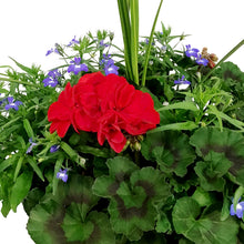 Load image into Gallery viewer, Planter, 12in, Spring Combo, Assorted