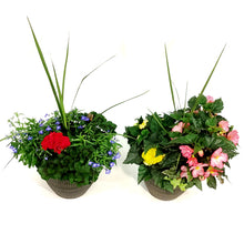 Load image into Gallery viewer, Planter, 12in, Spring Combo, Assorted
