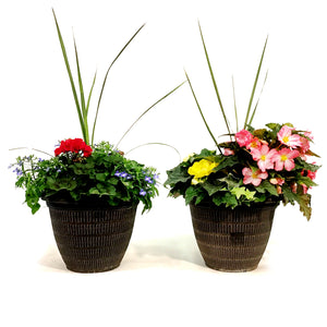 Planter, 12in, Spring Combo, Assorted