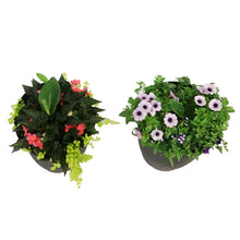 Load image into Gallery viewer, Planter, 14in, Spring Combo, Assorted
