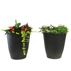 Planter, 14in, Spring Combo, Assorted