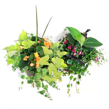 Load image into Gallery viewer, Planter, 14in, Spring Combo, Assorted
