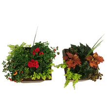 Load image into Gallery viewer, Planter, 15in, Spring Combo, Assorted