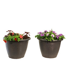 Load image into Gallery viewer, Planter, 16in, Spring Combo, Assorted
