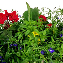 Load image into Gallery viewer, Planter, 18in, Spring Combo, Assorted