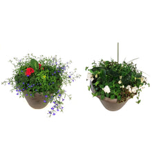 Load image into Gallery viewer, Planter, 18in, Spring Combo, Assorted