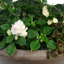 Load image into Gallery viewer, Planter, 18in, Spring Combo, Assorted