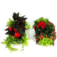 Load image into Gallery viewer, Window Box, 16in, Planter, Assorted
