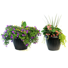 Load image into Gallery viewer, Planter, 22in, Spring Combo, Assorted