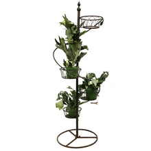 Load image into Gallery viewer, Lotus Basket Spiral Plant Stand with 5 9in Pots