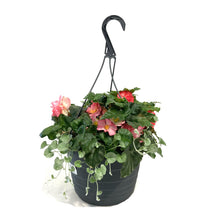 Load image into Gallery viewer, Hanging Basket, 10in, Summer Combo, Assorted