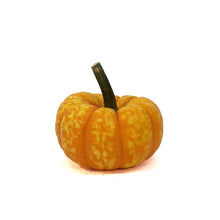 Load image into Gallery viewer, Mini Pumpkins