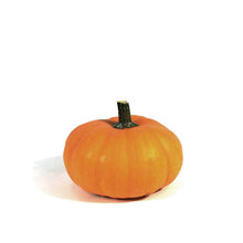 Load image into Gallery viewer, Mini Pumpkins
