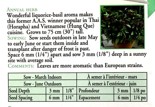 Basil - Siam Queen (Thai) Seeds, OSC