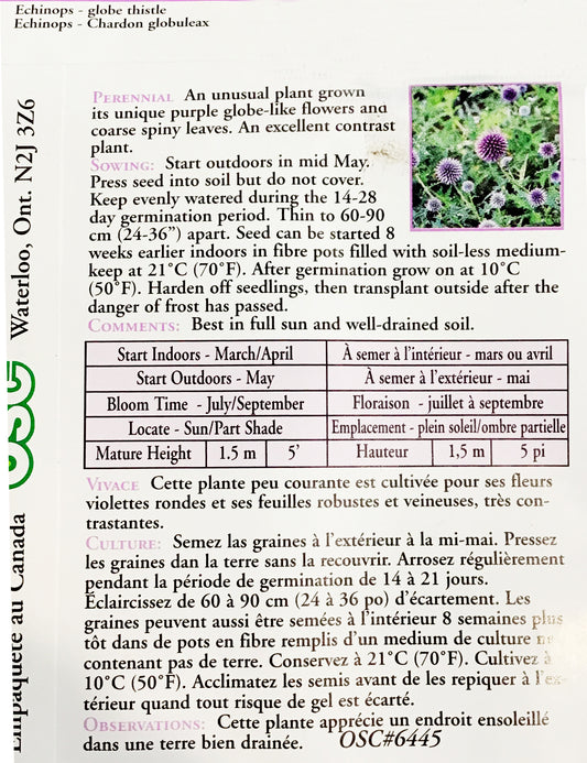 Echinops - Globe Thistle Seeds, OSC