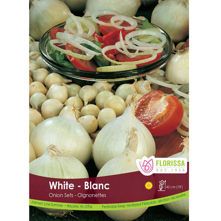 Onion - White Bulbs, 80 Pack