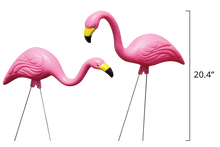Load image into Gallery viewer, Bloem Pink Flamingos Garden Stakes, 2 pack

