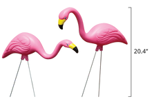 Load image into Gallery viewer, Bloem Pink Flamingos Garden Stakes, 2 pack