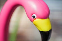 Load image into Gallery viewer, Bloem Pink Flamingos Garden Stakes, 2 pack