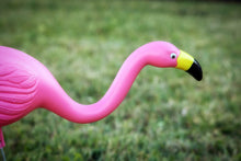 Load image into Gallery viewer, Bloem Pink Flamingos Garden Stakes, 2 pack