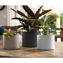 Load image into Gallery viewer, Planter, 6in, Mathers with Saucer, Black