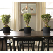 Load image into Gallery viewer, Planter, 6in, Mathers with Saucer, Black