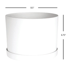 Load image into Gallery viewer, Planter, 8in, Mathers with Saucer, White