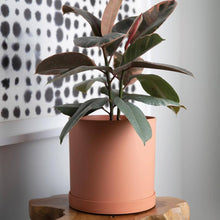 Load image into Gallery viewer, Planter, 10in, Mathers with Saucer, Muted TCotta