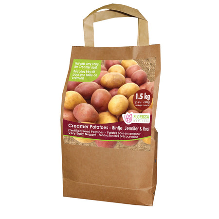 Seed Potato - Creamer Potato Blend, VN, 1.5kg Bag