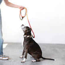 Load image into Gallery viewer, Cotton & Leather Embroidered Dog Collar, X-Small