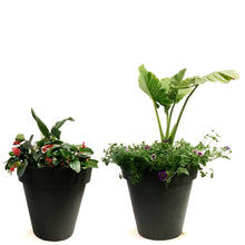 Load image into Gallery viewer, Planter, 24in, Spring Combo, Assorted
