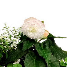 Load image into Gallery viewer, Window Box, 20in, Planter, Assorted