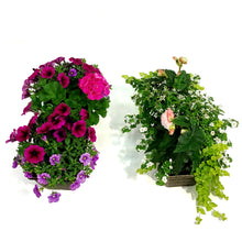 Load image into Gallery viewer, Window Box, 20in, Planter, Assorted