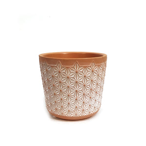 Pot, 4in, Terracotta, White-Washed Modern Floral
