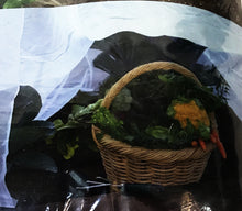 Load image into Gallery viewer, Bug Out Garden Insect Screen, 6.5ft x 20ft