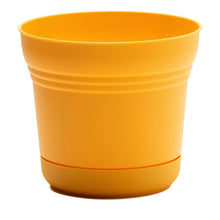 Load image into Gallery viewer, Pot, 10in, Saturn with Saucer, Earthy Yellow