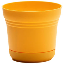 Load image into Gallery viewer, Planter, 12in, Saturn with Saucer, Earthy Yellow