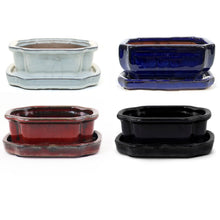 Load image into Gallery viewer, Pot, 6in, Bonsai with Saucer