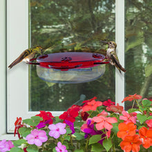 Load image into Gallery viewer, Traditional Window Hummingbird Feeder, 8oz