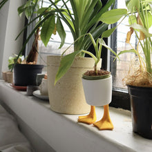 Load image into Gallery viewer, Pot, 2.5in, Ceramic, Duck Feet