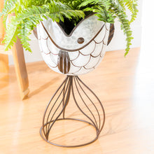 Load image into Gallery viewer, Metal Fish Chiller/Planter